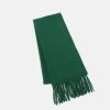 Écharpe légère unisexe CLOSED Fir Green - Accessoire mode tendance -Promos CLOSED Magasin 43df7b39171d4b0b92be155a3f827fd0