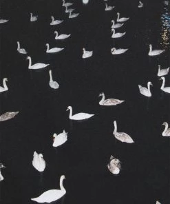 T-Shirt Imprimé Noir Homme CLOSED - Style Urbain et Confortable -Promos CLOSED Magasin b5db479188e8422f867b0c49e9c3b120